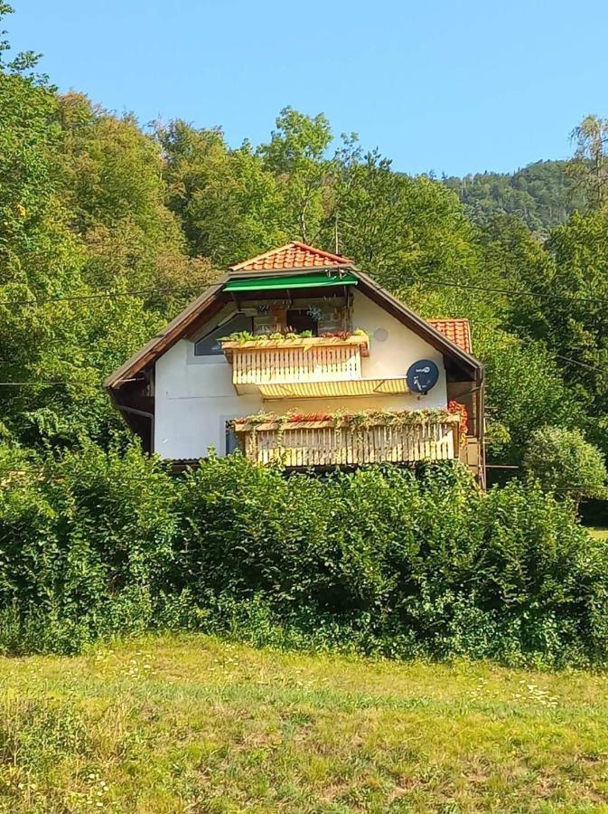 Apartment With A View Bohinjska Bistrica Exterior photo