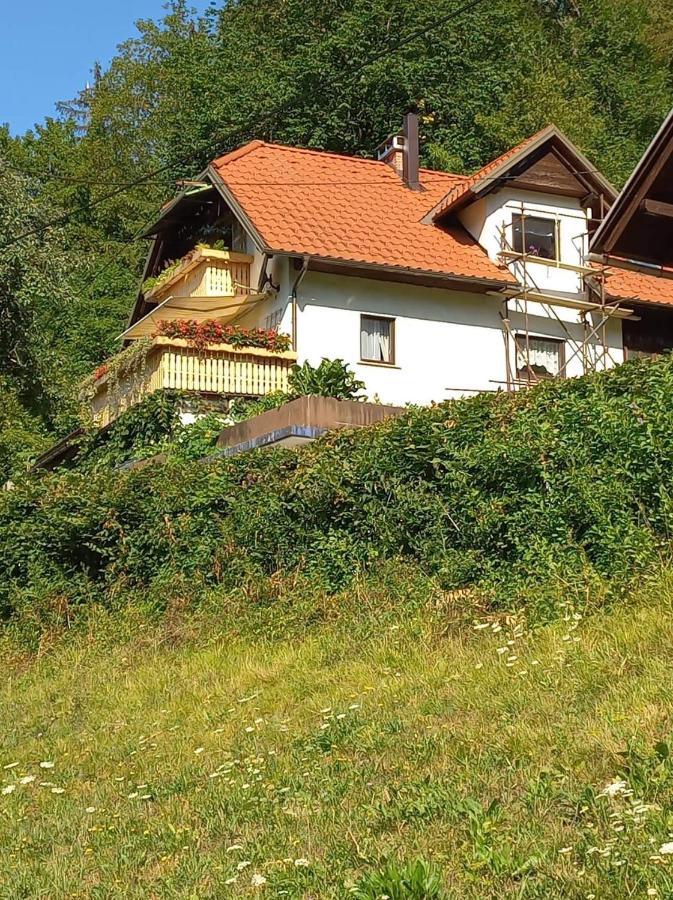 Apartment With A View Bohinjska Bistrica Exterior photo