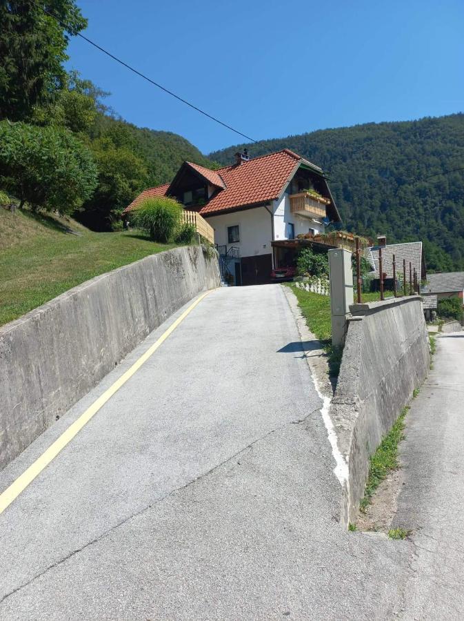 Apartment With A View Bohinjska Bistrica Exterior photo